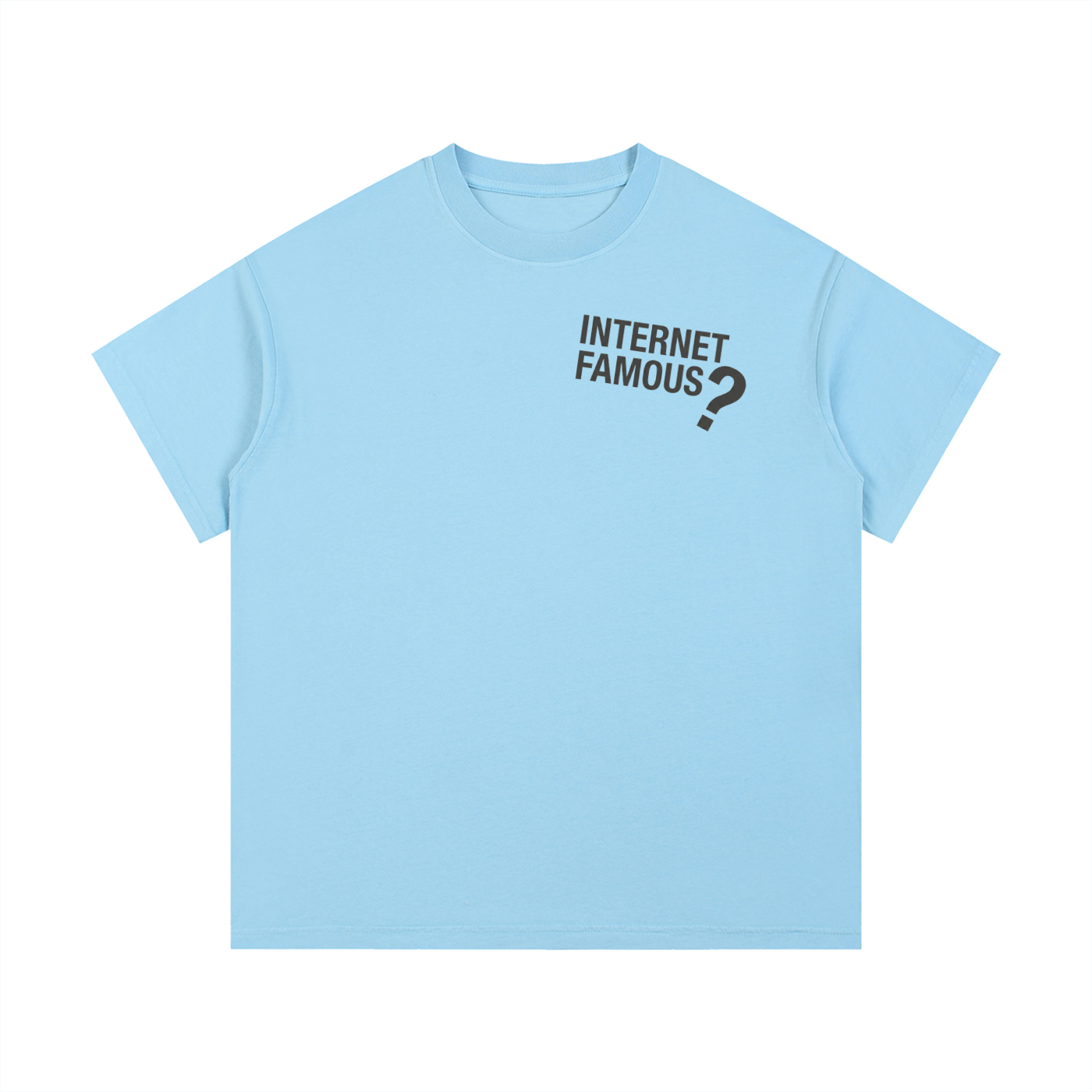 Mens 'INTERNET FAMOUS' Vintage Wash Cotton T-Shirt