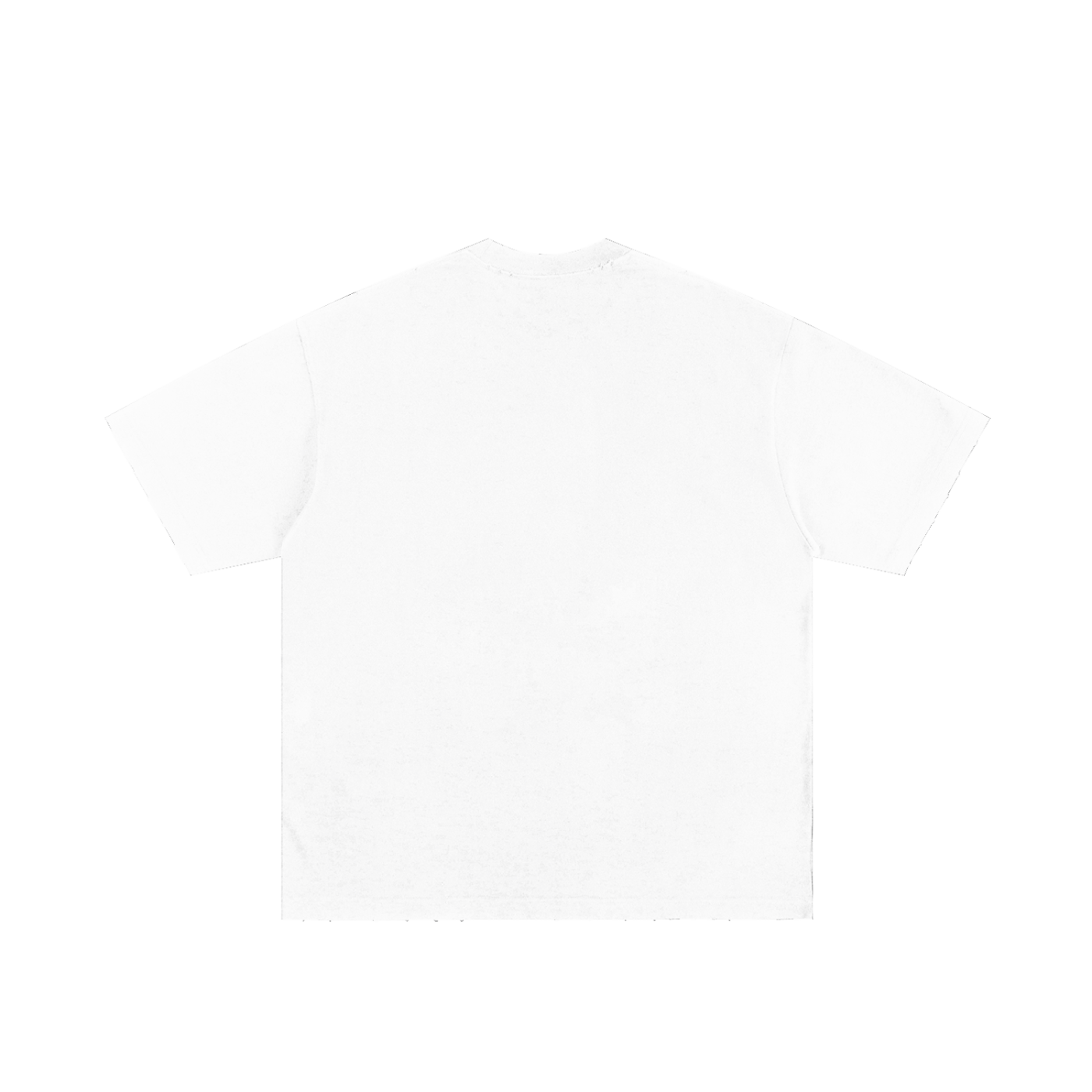 Mens 'SELF REGULATED' Heavyweight Hand-frayed Tee