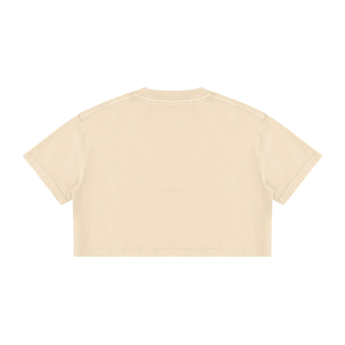 WOMENS ' DELUSIONAL DIVIDENDS ' Mineral Wash Cotton Crop TEE