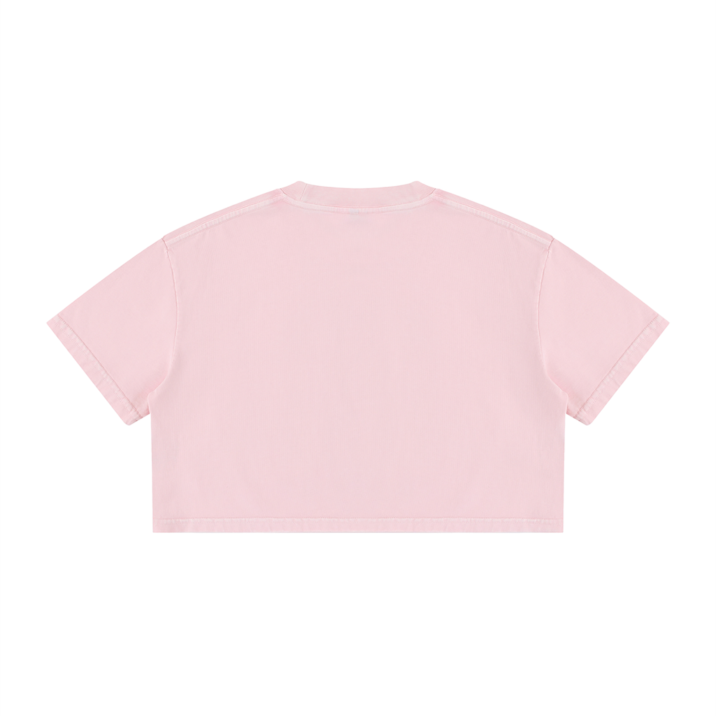 WOMENS ' DELUSIONAL DIVIDENDS ' Mineral Wash Cotton Crop TEE