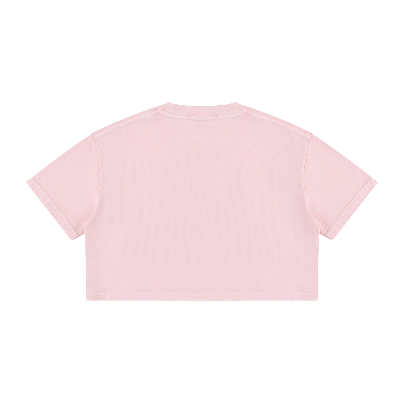 WOMENS ' DELUSIONAL DIVIDENDS ' Mineral Wash Cotton Crop TEE