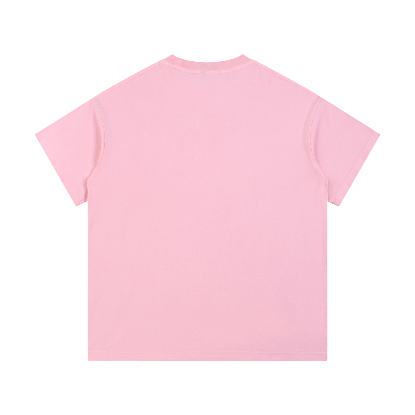 Mens 'INTERNET FAMOUS' Vintage Wash Cotton T-Shirt