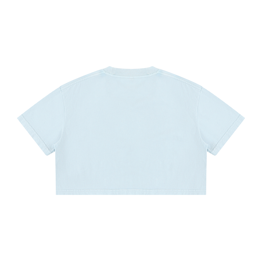 WOMENS ' DELUSIONAL DIVIDENDS ' Mineral Wash Cotton Crop TEE