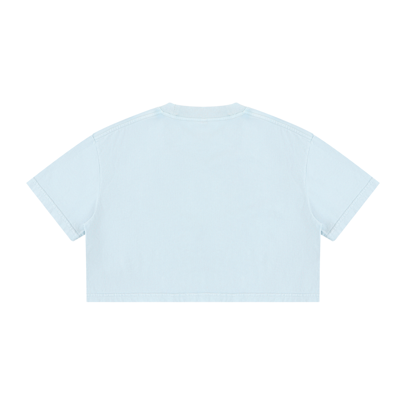 WOMENS ' DELUSIONAL DIVIDENDS ' Mineral Wash Cotton Crop TEE