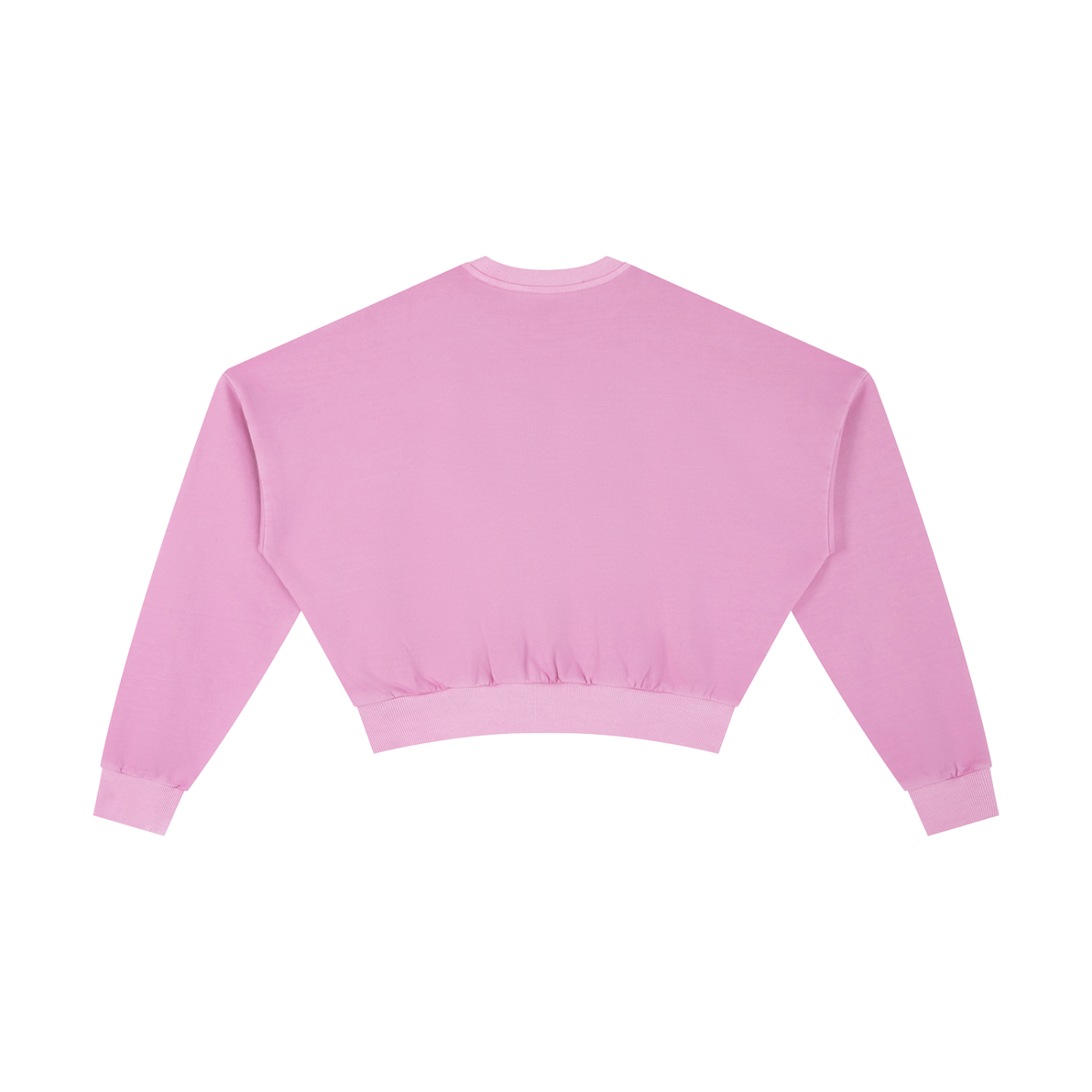 Womens BOLD CLASSIC Vintage Washed Cropped Sweatshirt